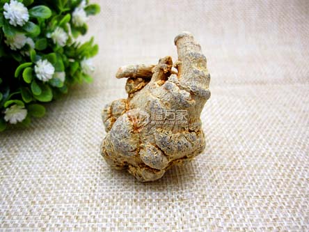 三七年份多長(zhǎng)的好